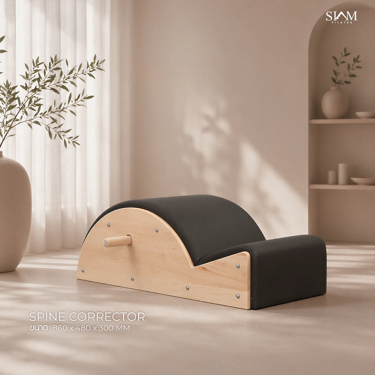 Spine Corrector / Arc ไม้ยางพารา / ไม้เมเปิ้ล